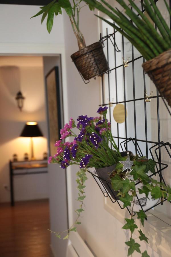 图尔Le Floreal, Great Quiet Appt In Very Town Center公寓 外观 照片